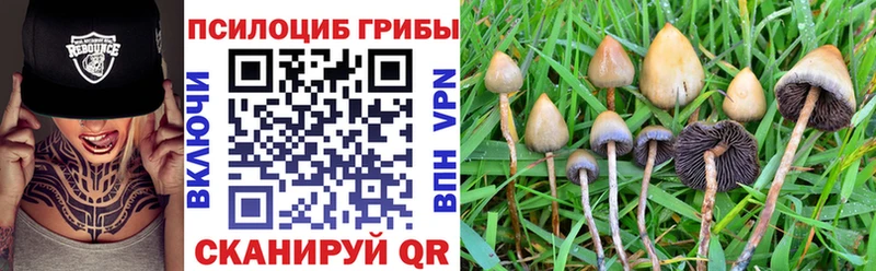 Галлюциногенные грибы Cubensis  Анива 